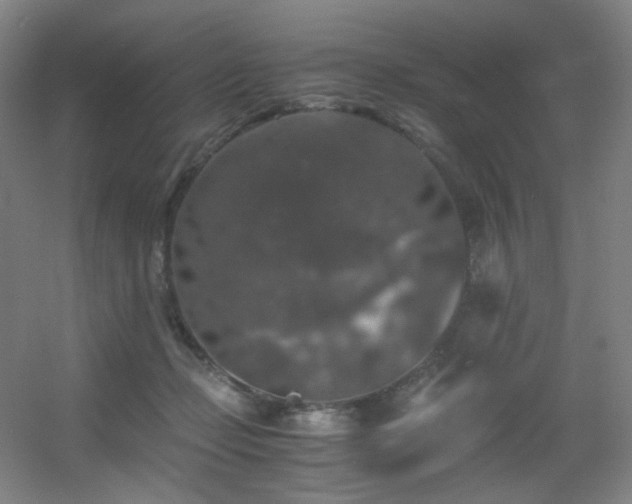 X0000056000365200508221329