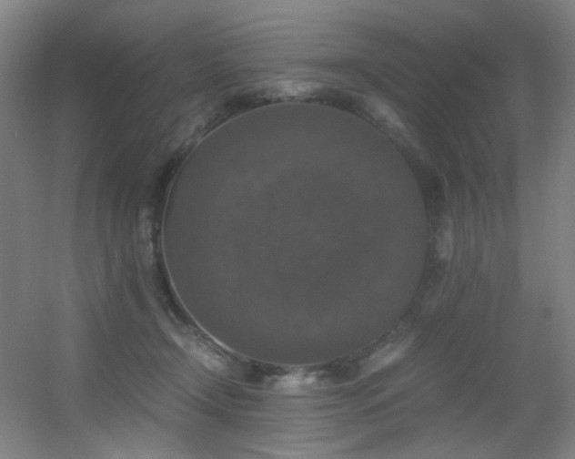 X0000056000366200508221329