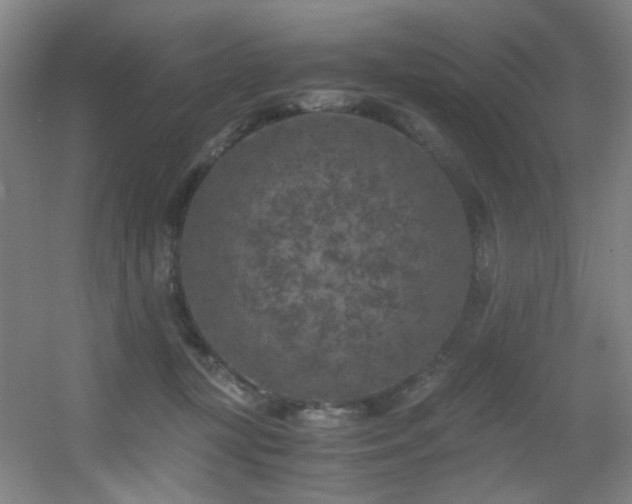 X0000056000367200508221329