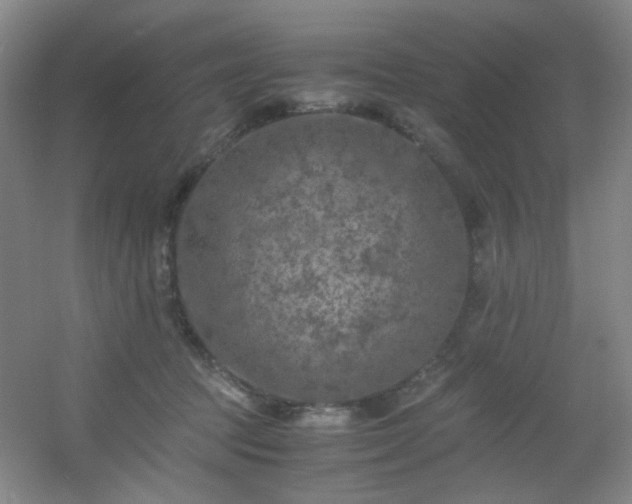 X0000056000369200508221329