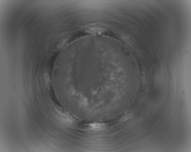 X0000056000371200508221329