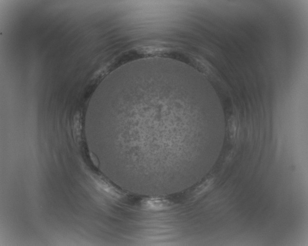 X0000056000372200508221329