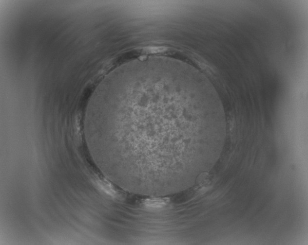 X0000056000373200508221329