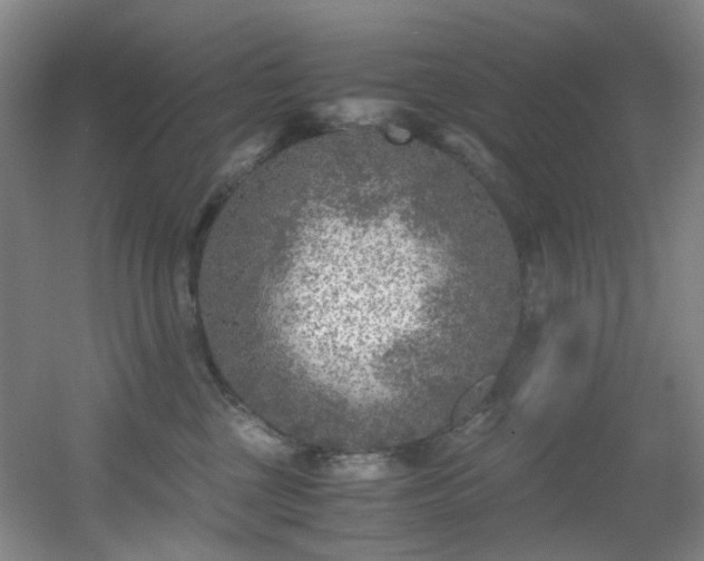 X0000056000377200508221329