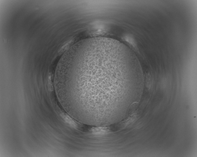 X0000056000378200508221329