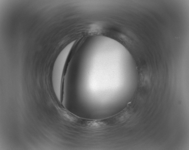 X0000056000379200508221329