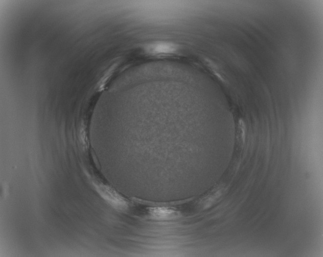 X0000056000380200508221329