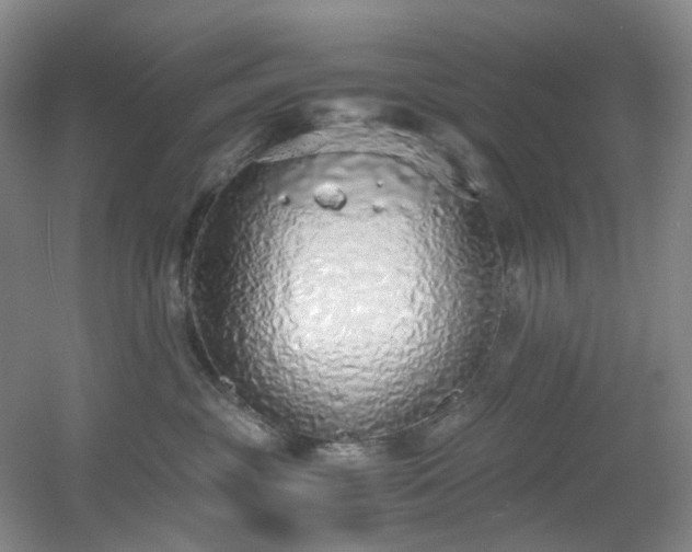 X0000056000381200508221329