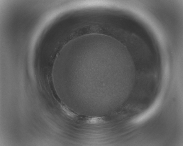 X0000056000382200508221329