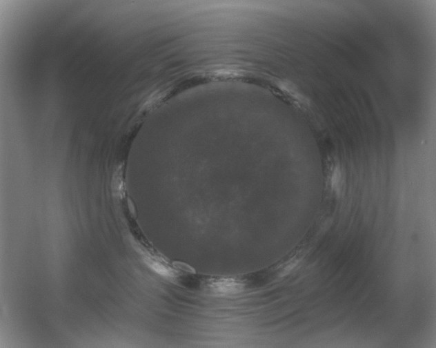 X0000056000383200508221329