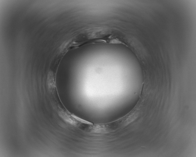 X0000056000384200508221329