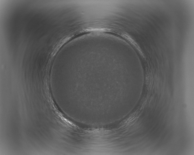 X0000056000385200508221328