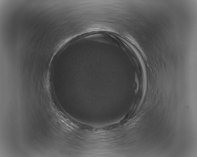 X0000056000387200508221328