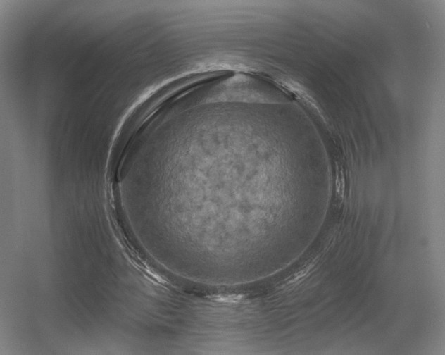 X0000056000388200508221328