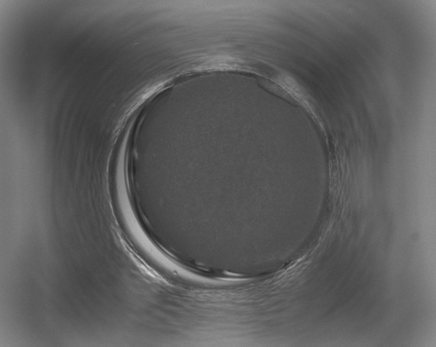 X0000056000389200508221328