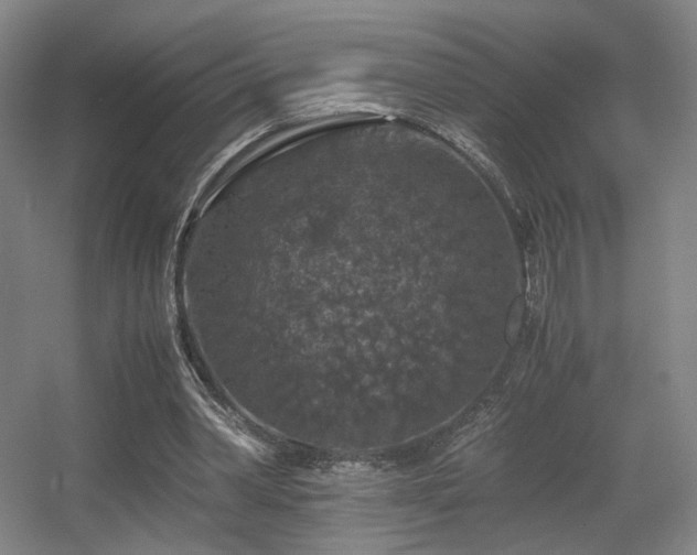 X0000056000390200508221328