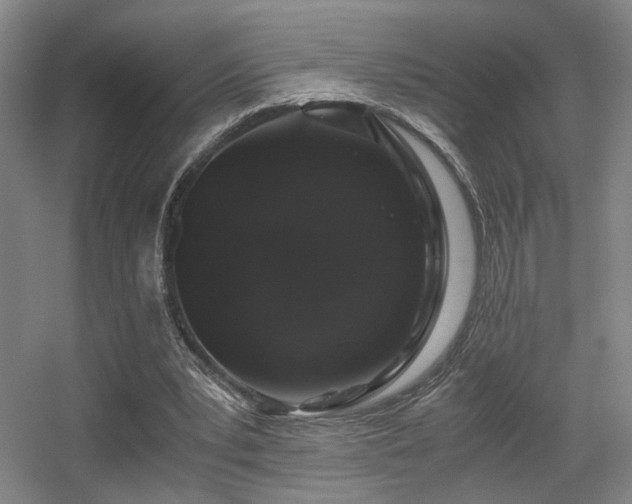 X0000056000391200508221328