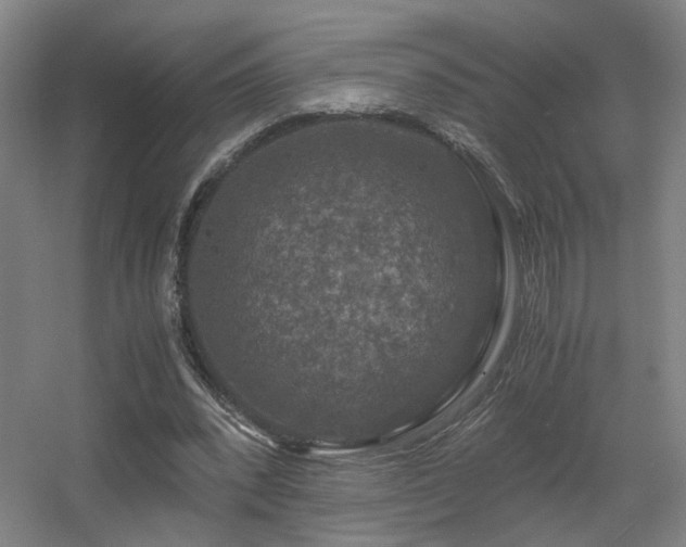 X0000056000392200508221328