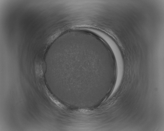 X0000056000393200508221328