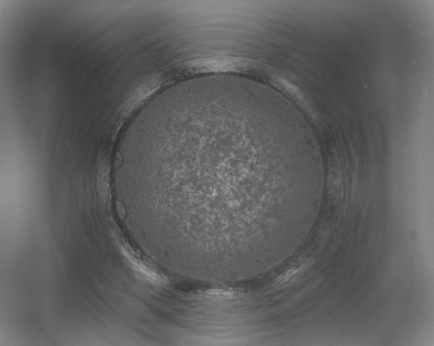 X0000056000394200508221328