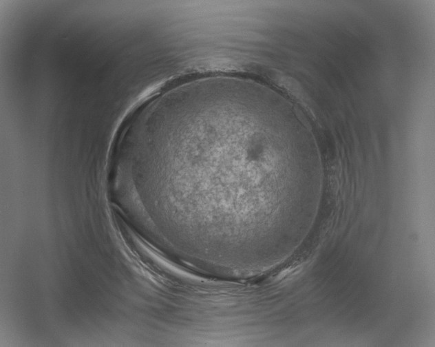 X0000056000395200508221328