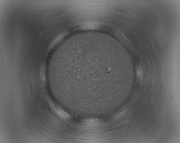 X0000056000396200508221328