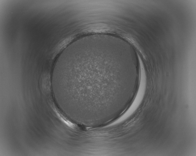 X0000056000397200508221328