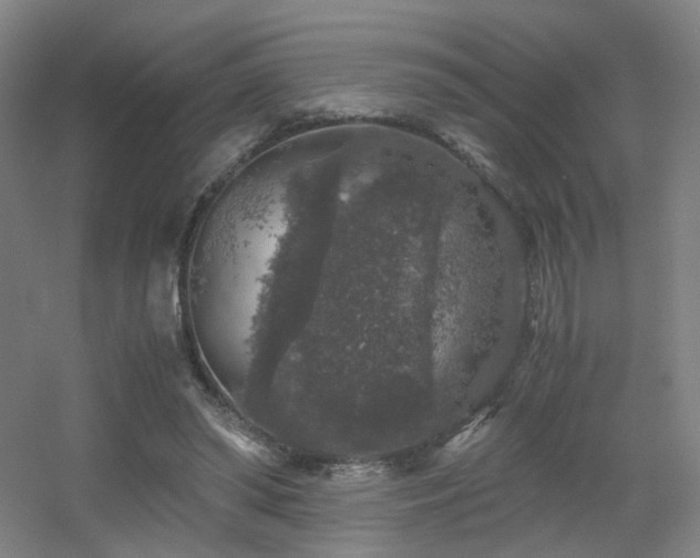 X0000056000398200508221328