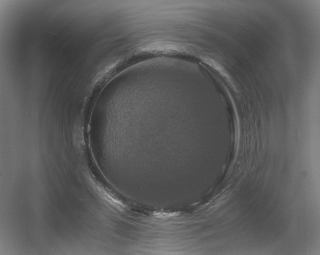 X0000056000399200508221328