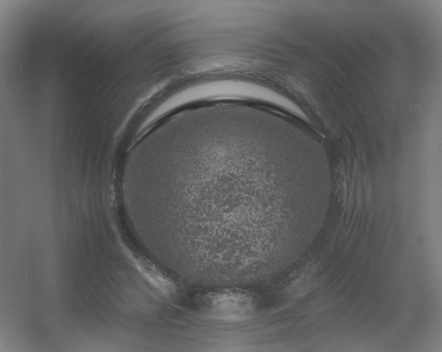 X0000056000400200508221328