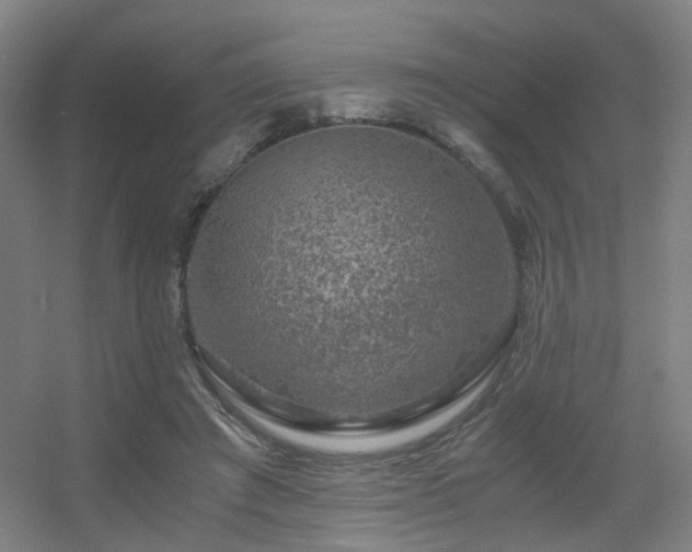 X0000056000401200508221328