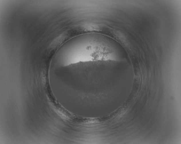 X0000056000402200508221328