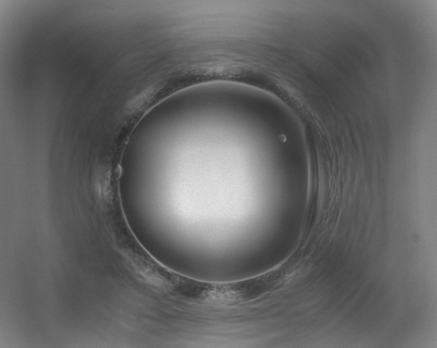 X0000056000403200508221328