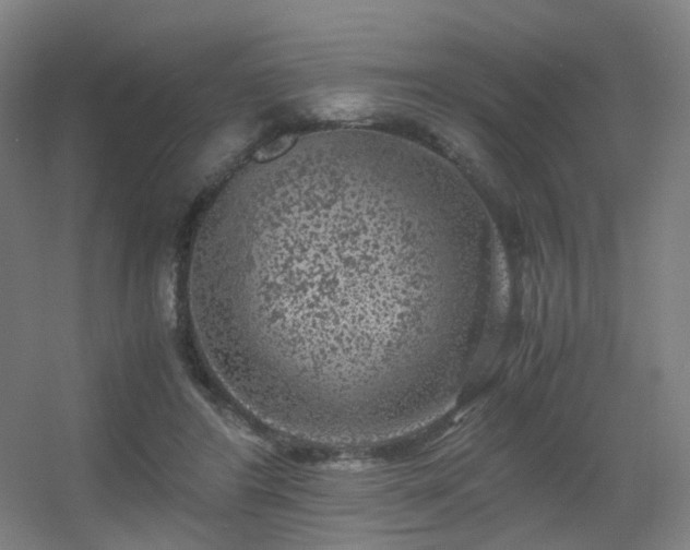 X0000056000404200508221328