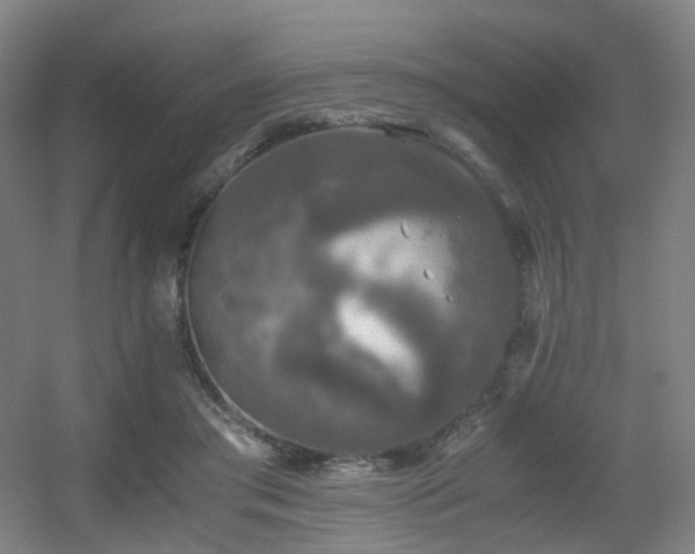 X0000056000405200508221328