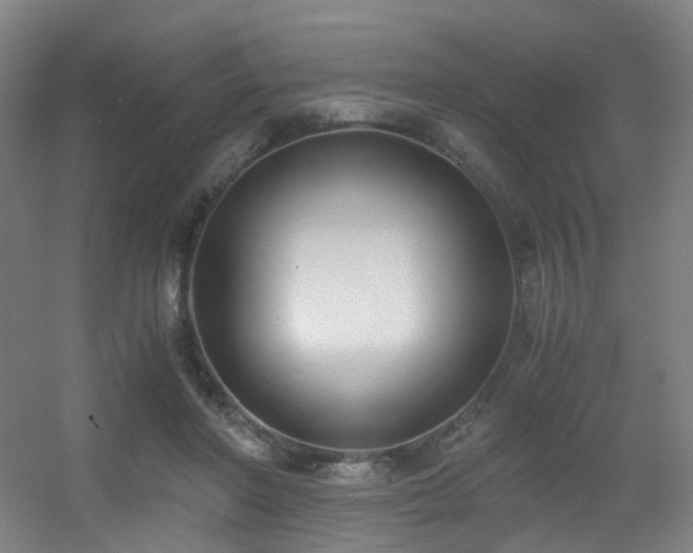 X0000056000406200508221328