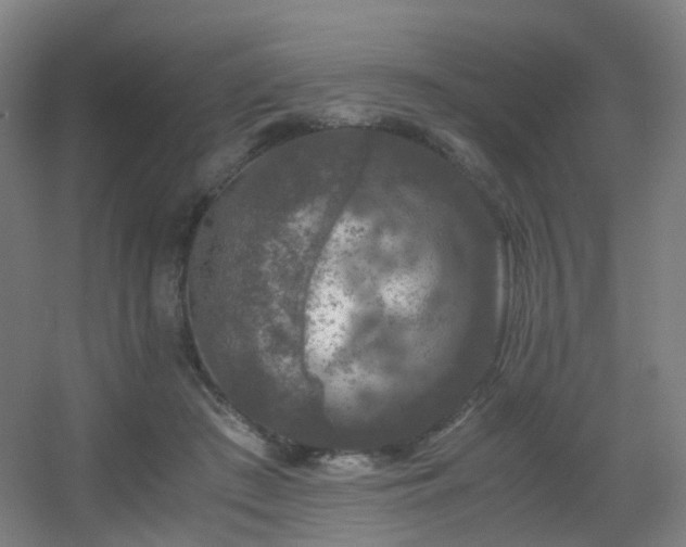 X0000056000409200508221328