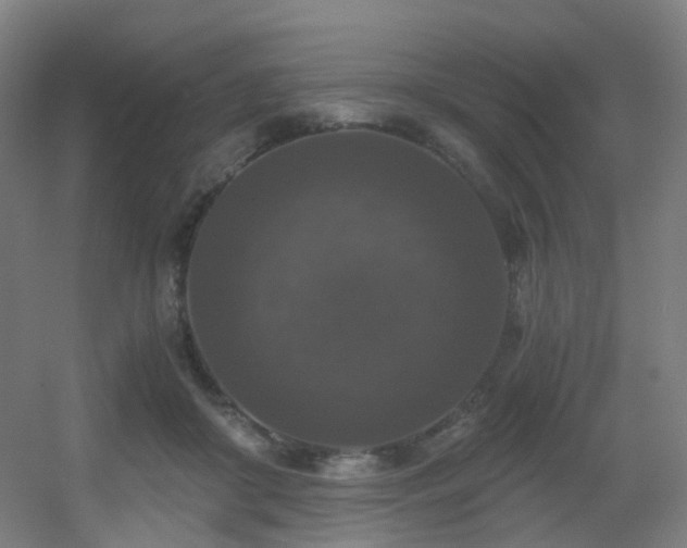 X0000056000410200508221328