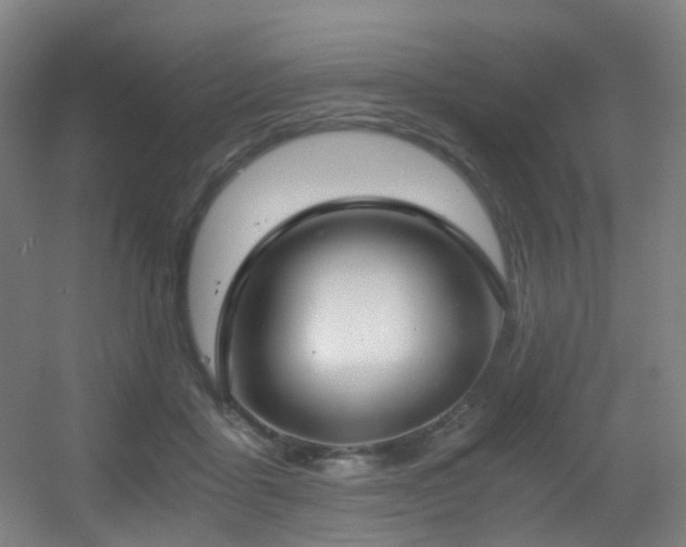 X0000056000411200508221328