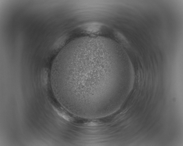 X0000056000412200508221328