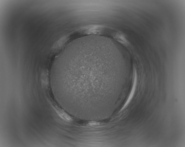 X0000056000413200508221328