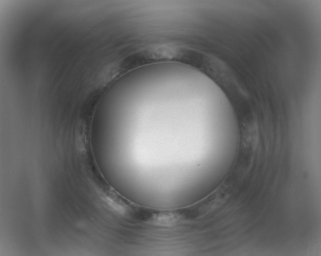 X0000056000414200508221328