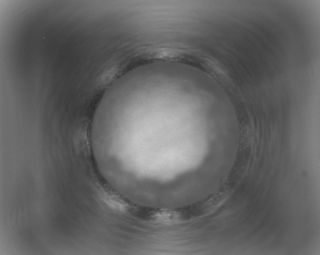 X0000056000415200508221328