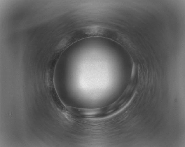 X0000056000416200508221328