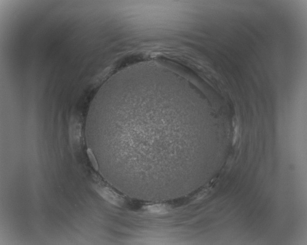 X0000056000417200508221328