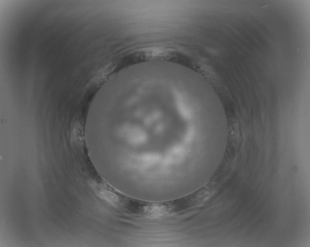 X0000056000419200508221328