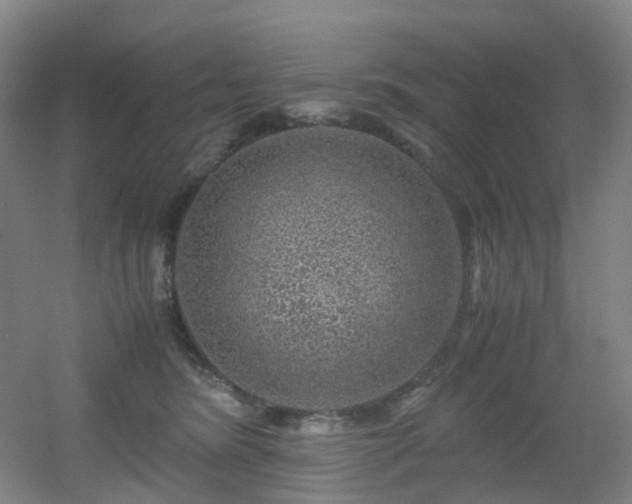 X0000056000420200508221328