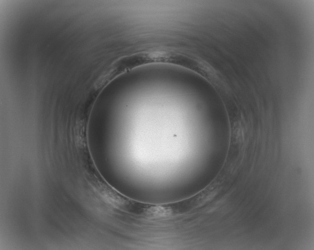 X0000056000421200508221328