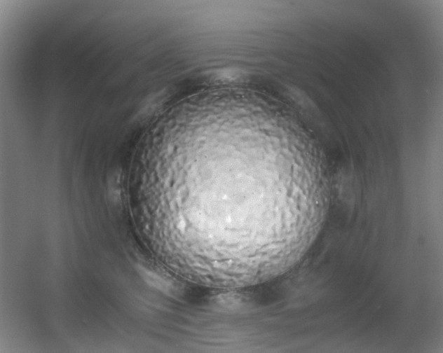 X0000056000423200508221328