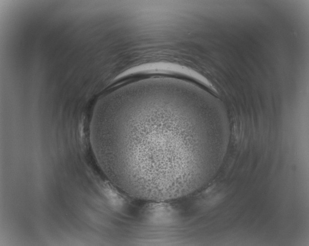 X0000056000424200508221328